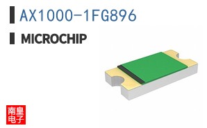 AX1000-1FG896