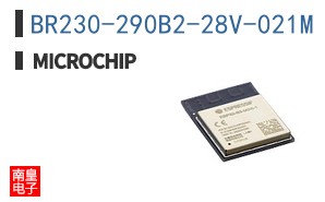 BR230-290B2-28V-021M