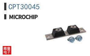 CPT30045
