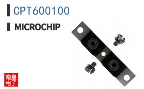 CPT600100