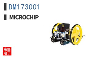 DM173001