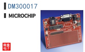 DM300017