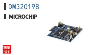 DM320198