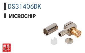 DS31406DK