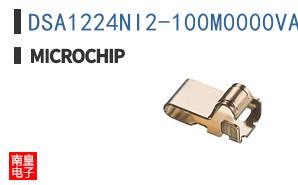 DSA1224NI2-100M0000VAO
