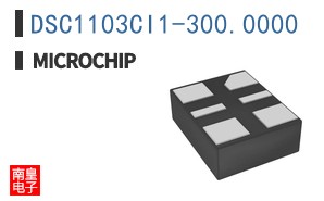 DSC1103CI1-300.0000