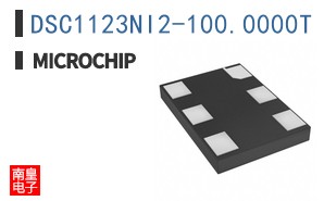 DSC1123NI2-100.0000T