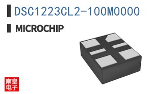 DSC1223CL2-100M0000