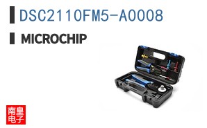 DSC2110FM5-A0008