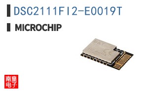 DSC2111FI2-E0019T