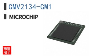 GMV2134-GM1