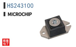 HS243100