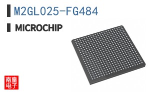 M2GL025-FG484