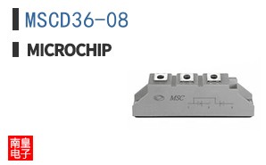 MSCD36-08