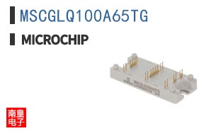 MSCGLQ100A65TG