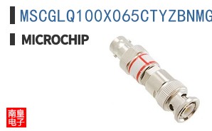 MSCGLQ100X065CTYZBNMG