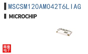 MSCSM120AM042T6LIAG
