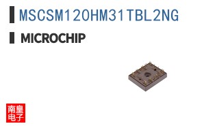 MSCSM120HM31TBL2NG
