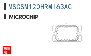 MSCSM120HRM163AG
