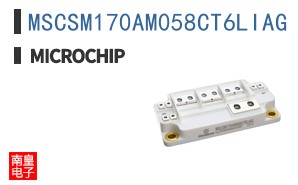 MSCSM170AM058CT6LIAG