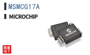 MSMCG17A