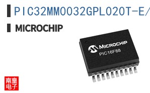 PIC32MM0032GPL020T-E/SS