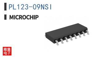PL123-09NSI
