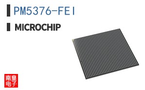 PM5376-FEI