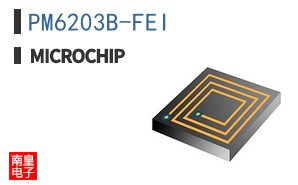 PM6203B-FEI