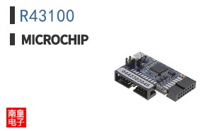 R43100