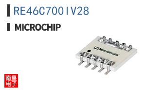 RE46C700IV28