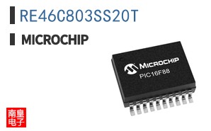 RE46C803SS20T