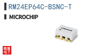 RM24EP64C-BSNC-T