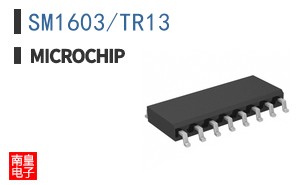 SM1603/TR13