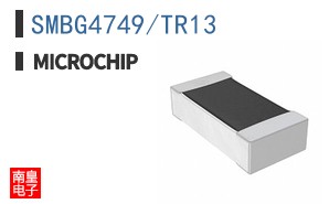 SMBG4749/TR13