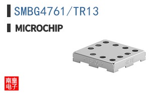SMBG4761/TR13