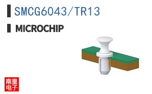 SMCG6043/TR13