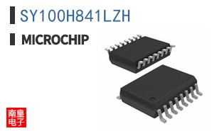 SY100H841LZH