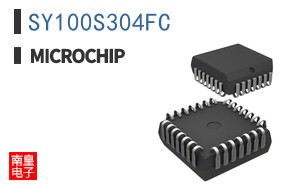 SY100S304FC