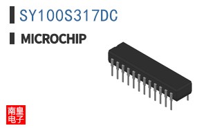 SY100S317DC