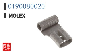 0190080020