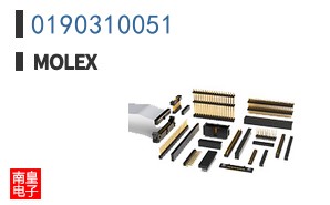 0190310051