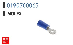 0190700065