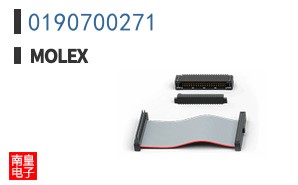 0190700271