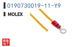0190730019-11-Y9
