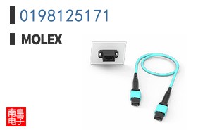 0198125171