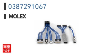 0387291067