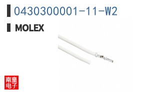 0430300001-11-W2