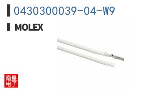 0430300039-04-W9