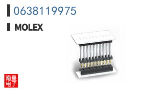 0638119975